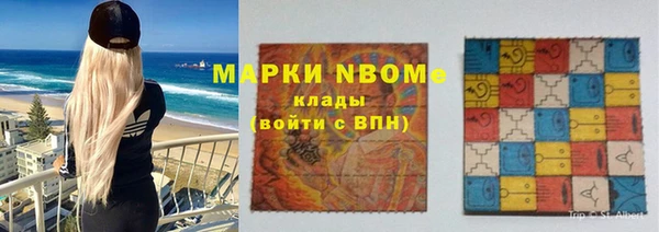 дурь Краснослободск