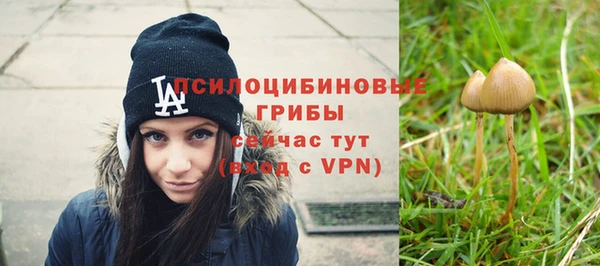 дурь Краснослободск