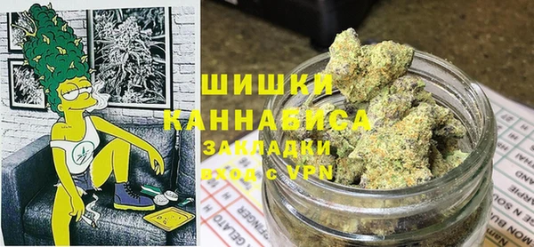дурь Краснослободск