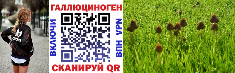 omg ССЫЛКА  Сысерть  Галлюциногенные грибы Psilocybine cubensis 